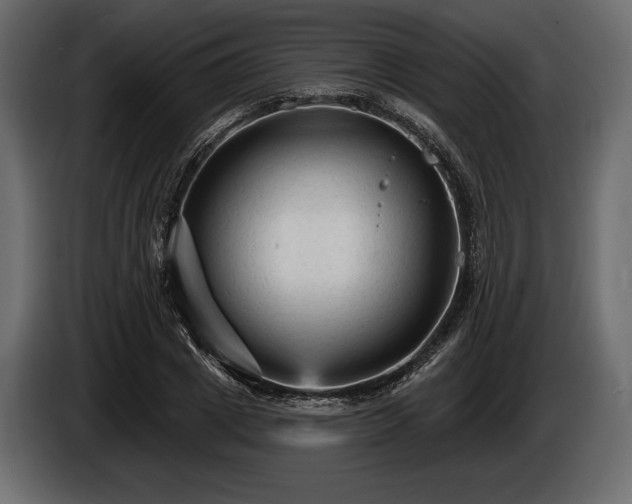 X0000085820833200703231355