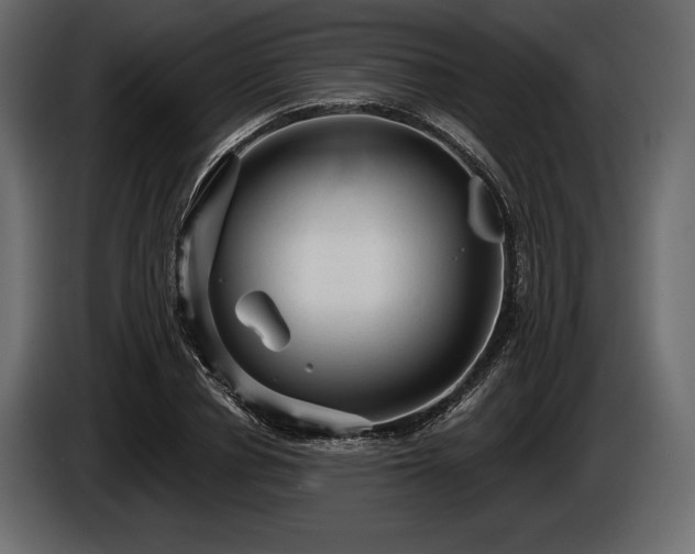 X0000085820834200703231355