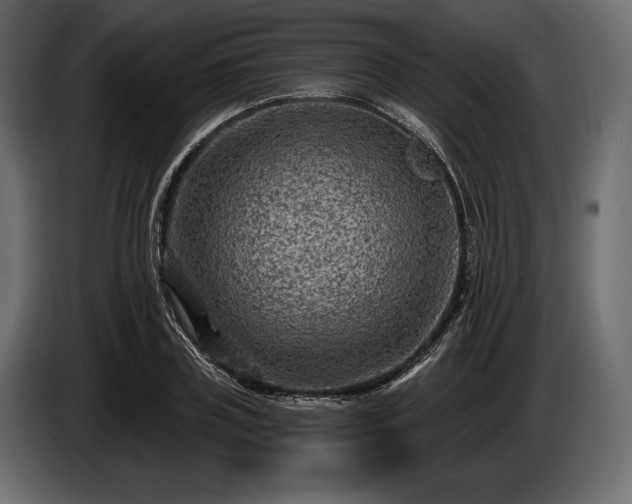 X0000085820835200703231355