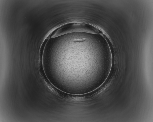 X0000085820837200703231355