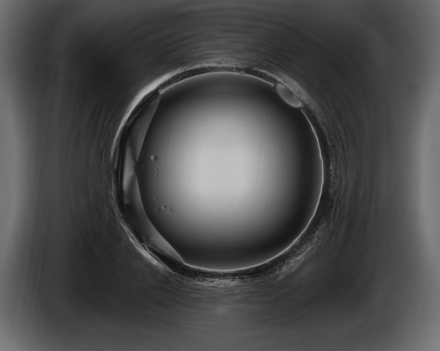 X0000085820838200703231355