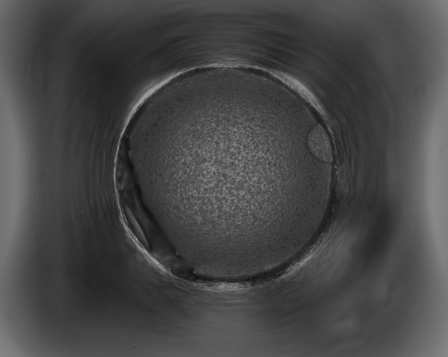 X0000085820839200703231355