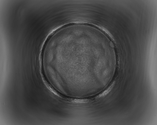 X0000085820840200703231355