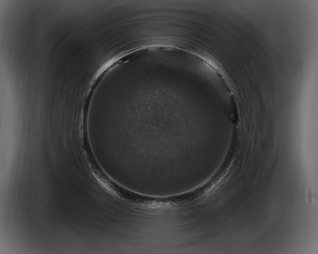 X0000085820842200703231355