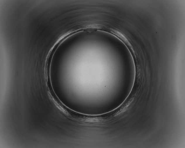 X0000085820843200703231355