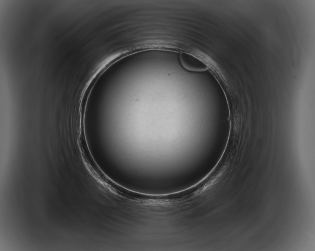 X0000085820844200703231355