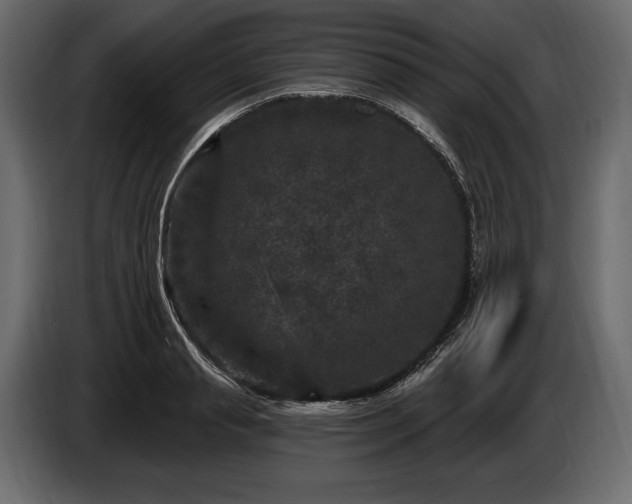 X0000085820845200703231355