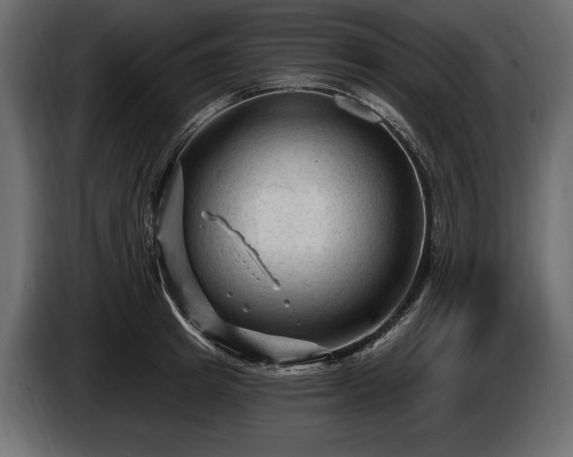 X0000085820849200703231355