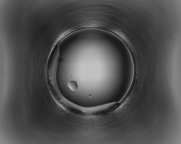 X0000085820850200703231355