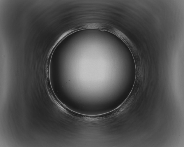 X0000085820852200703231355