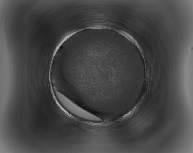 X0000085820855200703231355