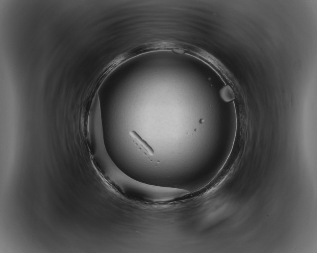 X0000085820857200703231355