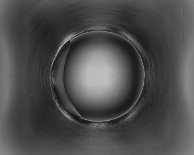 X0000085820858200703231355