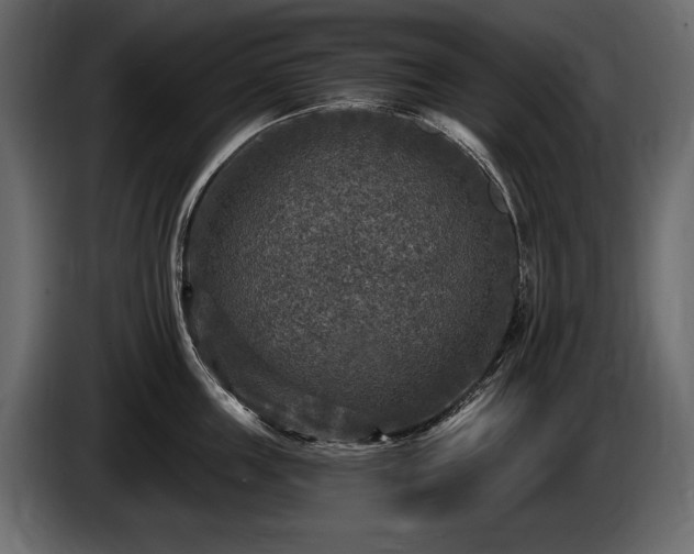 X0000085820859200703231355