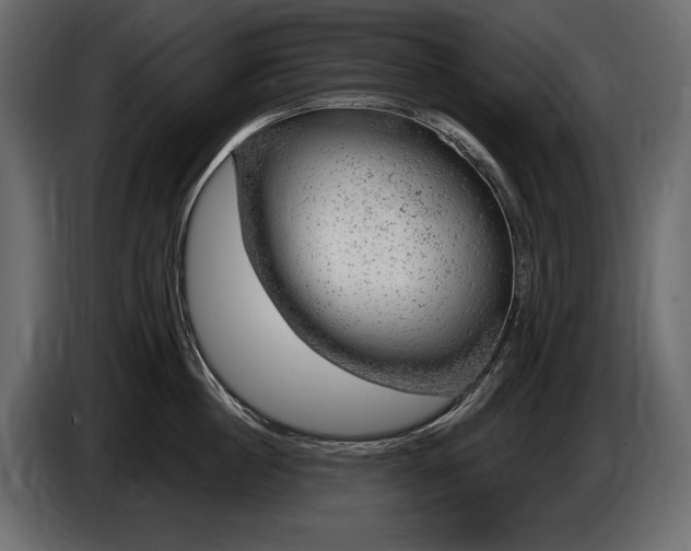 X0000085820860200703231355