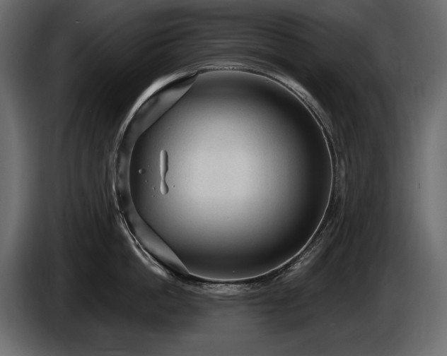 X0000085820862200703231355