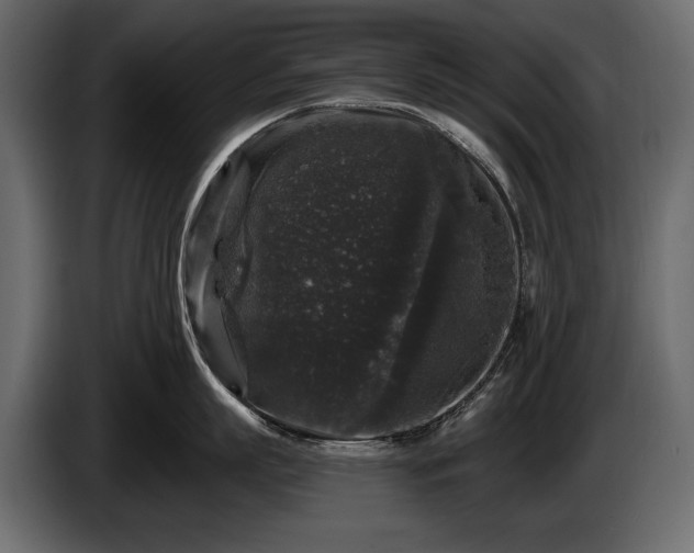 X0000085820863200703231355