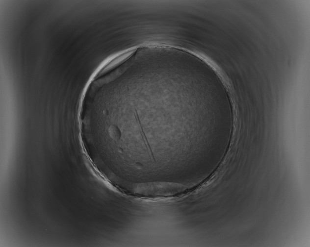X0000085820864200703231355