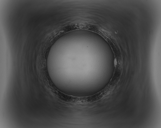 X0000085820865200703231355