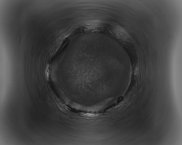 X0000085820868200703231355
