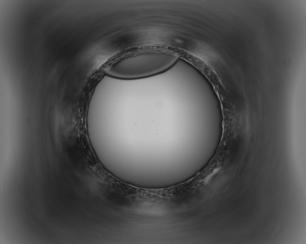 X0000085820871200703231354