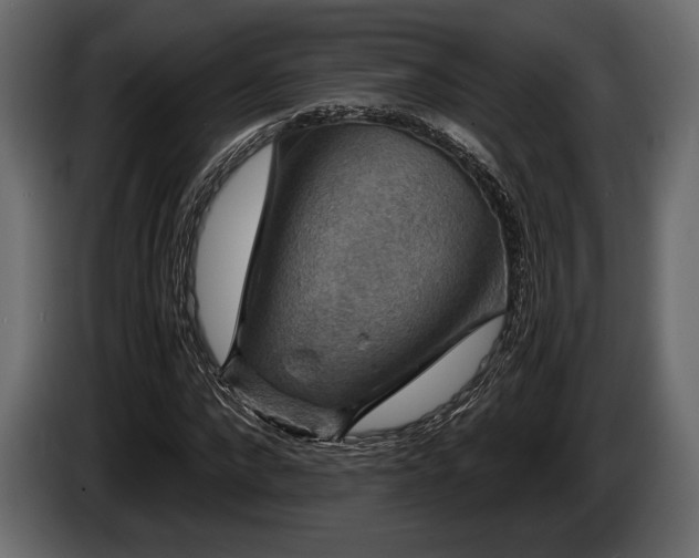 X0000085820872200703231354