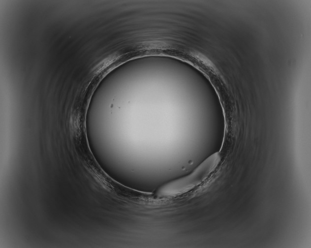 X0000085820873200703231354