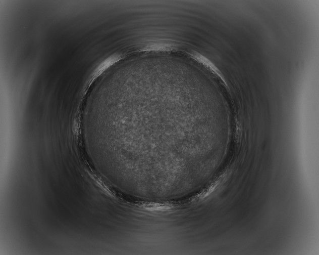 X0000085820874200703231354