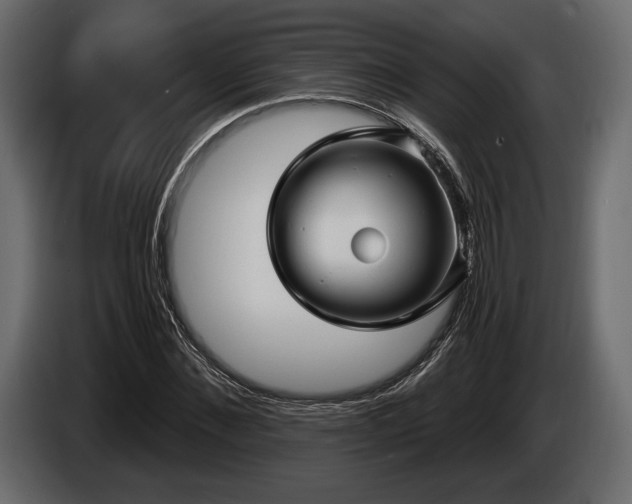 X0000085820876200703231354