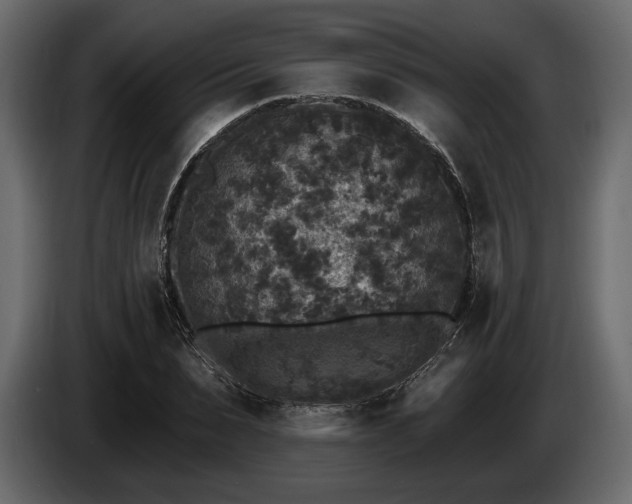 X0000085820879200703231354