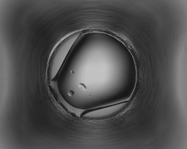 X0000085820880200703231354