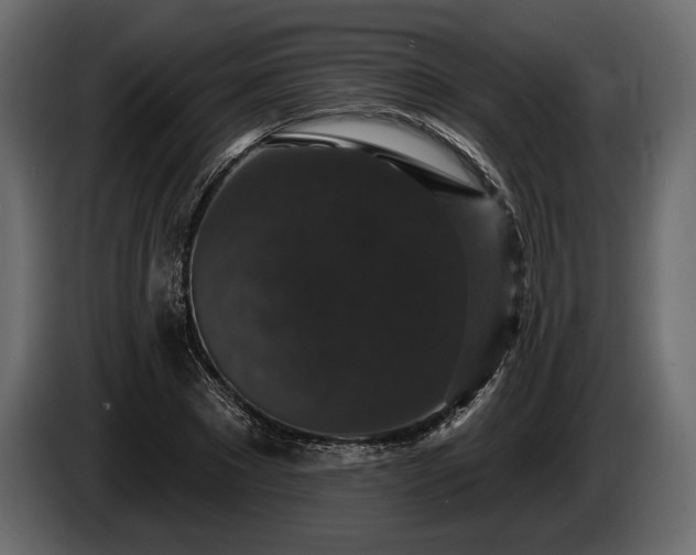 X0000085820881200703231354