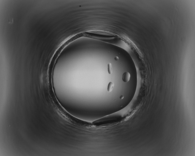 X0000085820884200703231354