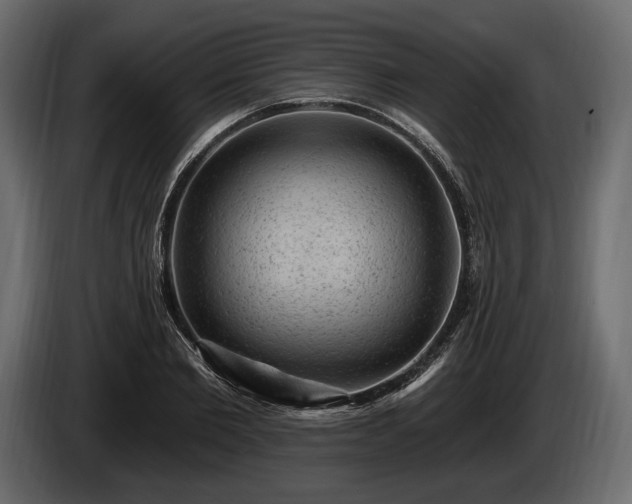 X0000085820885200703231354