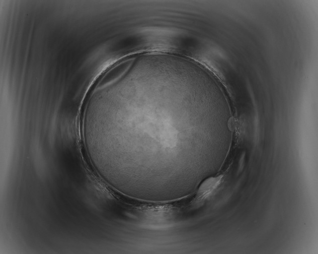 X0000085820891200703231354