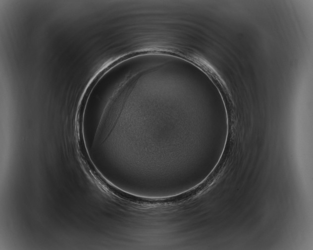 X0000085820892200703231354