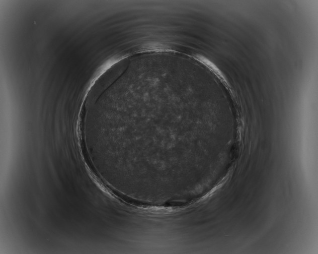 X0000085820893200703231354