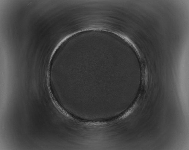 X0000085820896200703231354