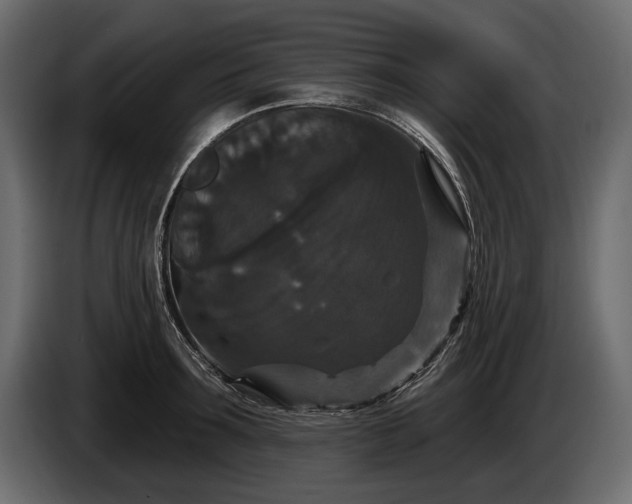 X0000085820899200703231354