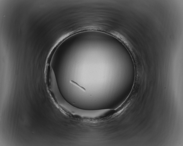 X0000085820902200703231354