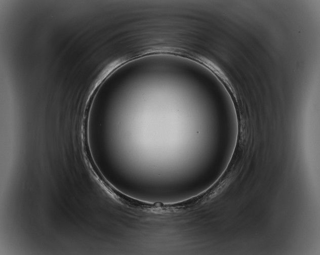 X0000085820906200703231354