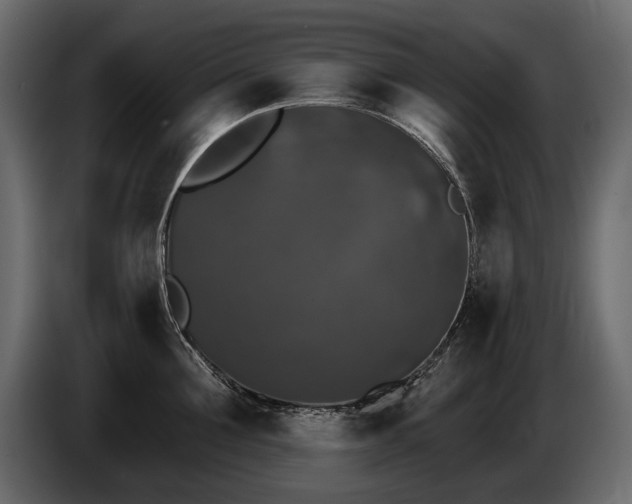 X0000085820907200703231354