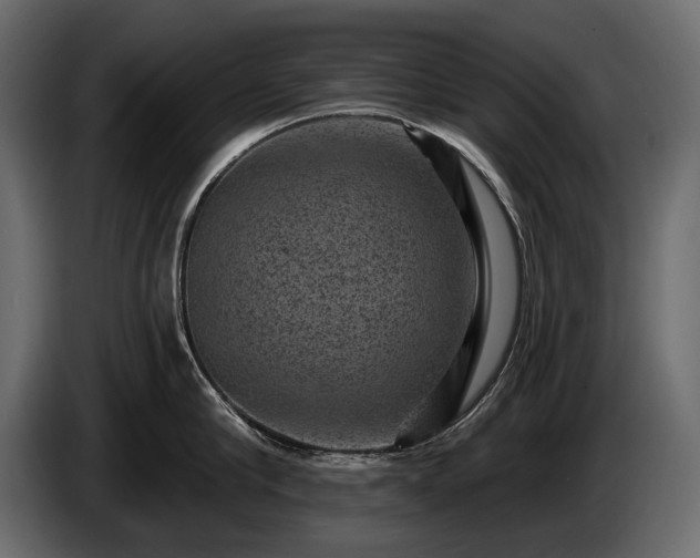X0000085820910200703231354