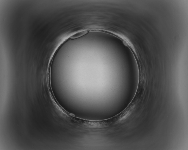 X0000085820911200703231354