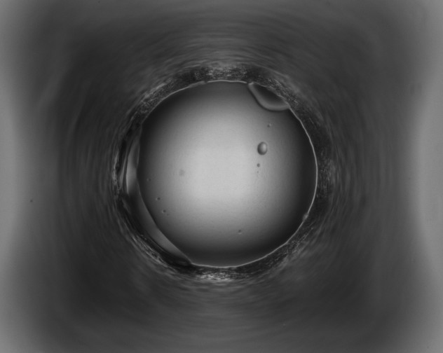 X0000085820914200703231353