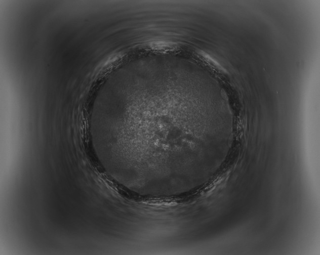X0000085820917200703231353