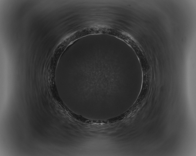 X0000085820919200703231353