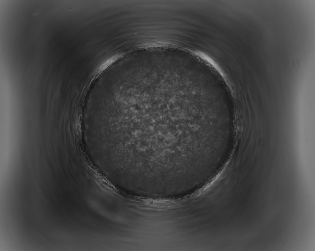 X0000085820921200703231353