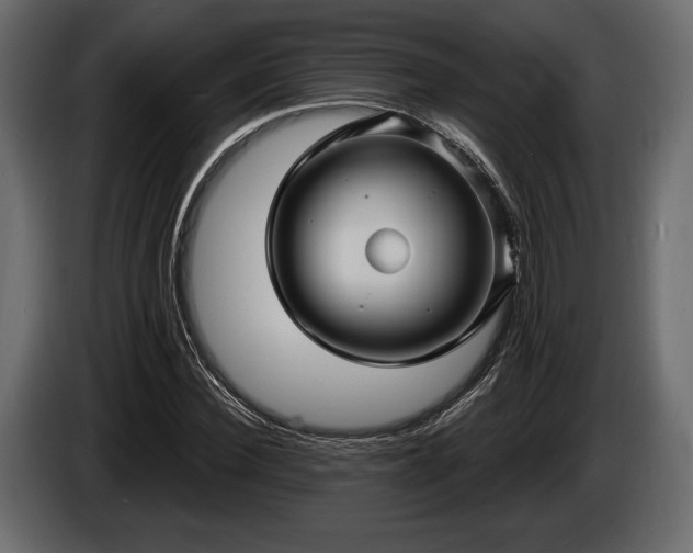 X0000085820924200703231353