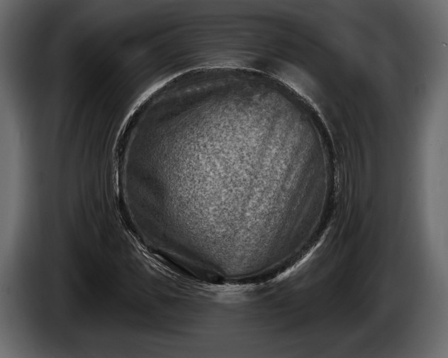 X0000085820925200703231353